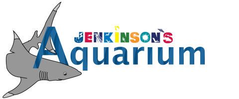 Jenkinson's Aquarium