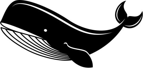 whale