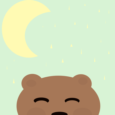 bear