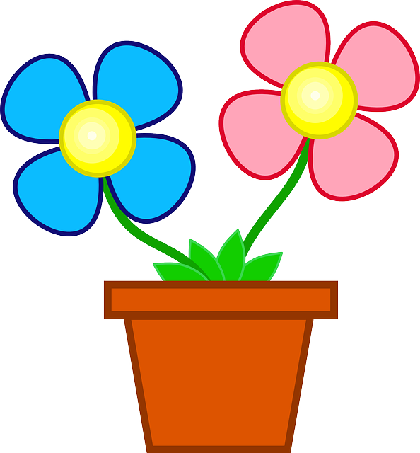 flower pot