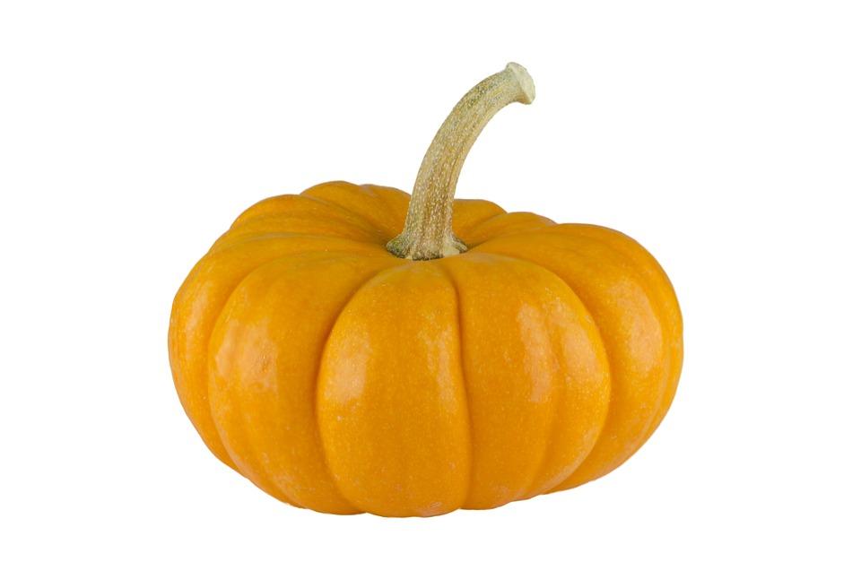 pumpkin